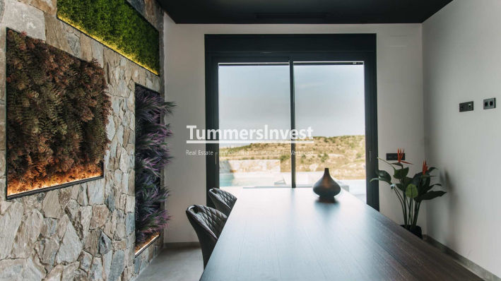 Nieuwbouw Woningen · Villa · Rojales