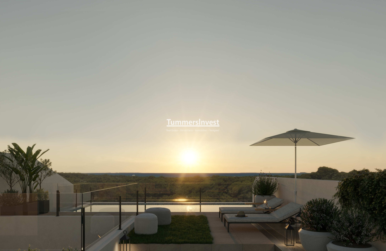Obra nueva · Apartment · Guardamar del Segura · Guardamar Del Segura